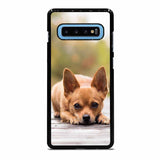 CHIHUAHUA DOG Samsung Galaxy S10 Plus Case