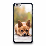 CHIHUAHUA DOG iPhone 6 / 6s Plus Case